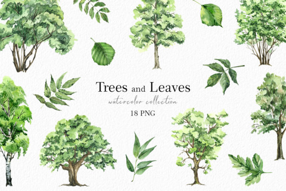 Choosing the Right Green Forest Trees Watercolor Clipart for Your Creative Projects