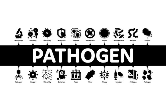 Strategic Visual Communication: Leveraging Pathogen Elements Minimal Infographic for Clarity and Impact